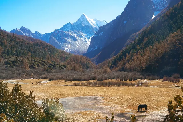 三刷稻城亞丁,終於遇見了它的巔峰時刻 三刷稻城亞丁,終於遇見了它的巔峰時刻