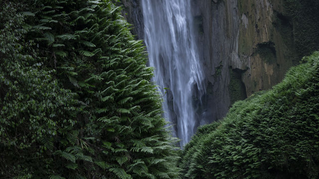 趕一場山水之約，廣西等你來野～