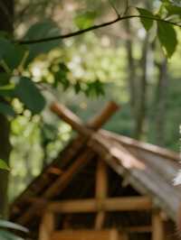 雲南親子度假!版納+普洱8天7晚歡樂之旅