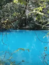 11月底荔波小七孔 | 上帝打翻的藍綠調色盤