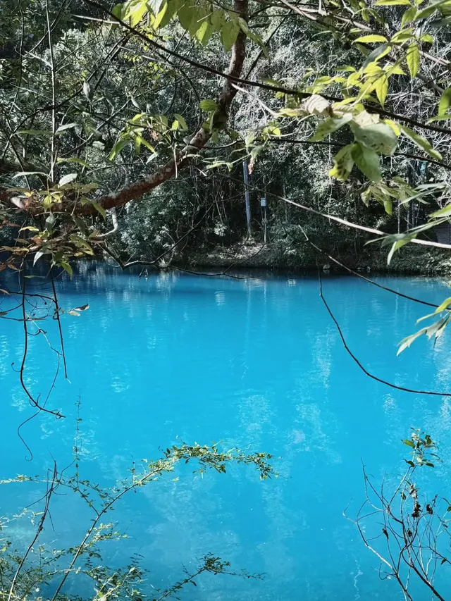 11月底荔波小七孔 | 上帝打翻的藍綠調色盤