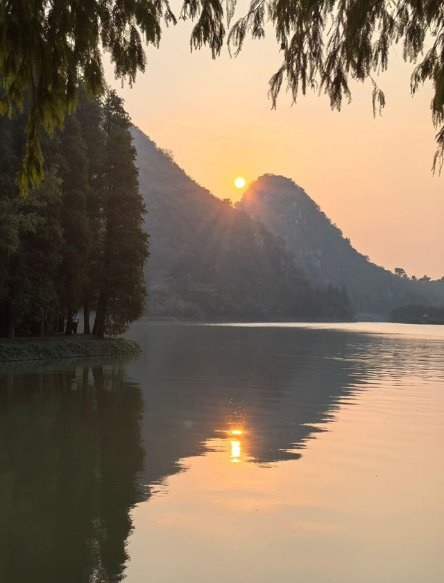 肇慶星湖絕美秋色 黃葉紅杉驚艷整個秋天! 肇慶星湖絕美秋色 黃葉紅杉驚艷整個秋天!