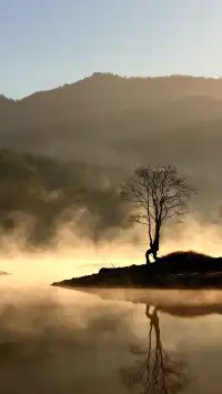 晨霧繚繞的皖南秋色太值得一看了