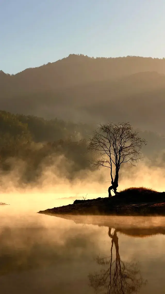 晨霧繚繞的皖南秋色太值得一看了 晨霧繚繞的皖南秋色太值得一看了
