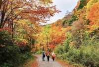 萬象 | 廣元之冬的歌行