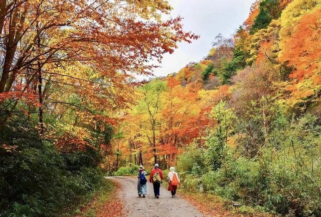 萬象 | 廣元之冬的歌行
