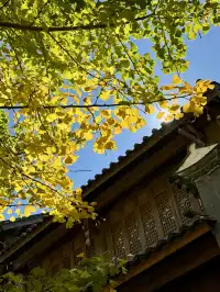 孕期旅行雲南｜沙溪古鎮、麗江 悠閒假期～