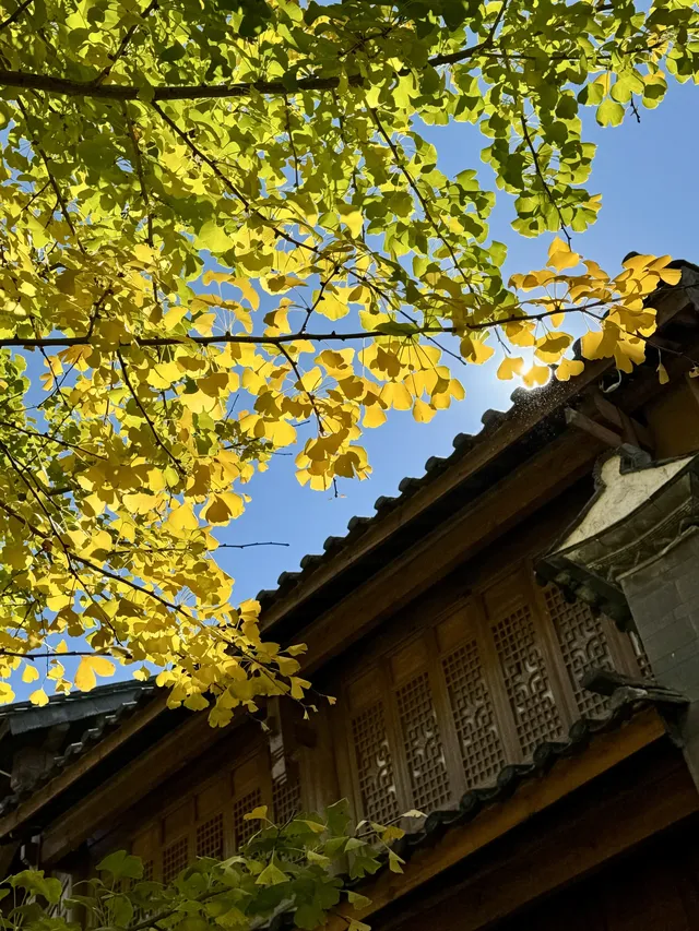 孕期旅行雲南｜沙溪古鎮、麗江 悠閒假期～