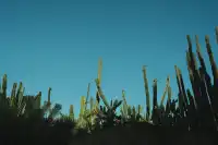 廈門植物園｜又是能量滿滿的一天！