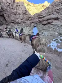 淡季西北小團遊全記錄|累但快樂到不想走