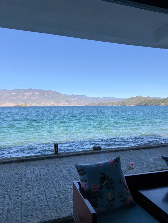 被瀘沽湖美鼠！12.4實拍！