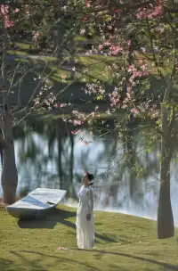 青秀山這片湖，又美又出片，還能拍到仙氣飄飄