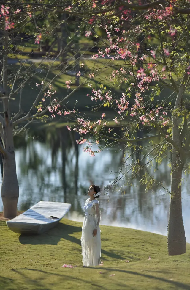 青秀山這片湖，又美又出片，還能拍到仙氣飄飄