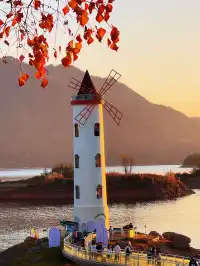 落葉倒數計時!千島湖落日金葉,衝就對了!