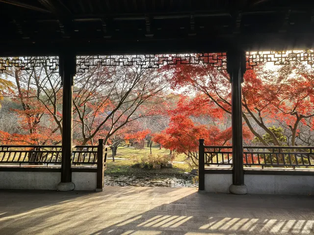 秋日頂流～～明孝陵胭脂雪