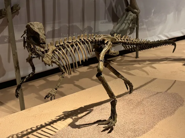 恐龍展抽獎只剩最後1天,衝啊! 恐龍展抽獎只剩最後1天,衝啊!