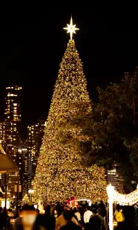 香港|12月,期待日落晚風中的海邊聖誕樹