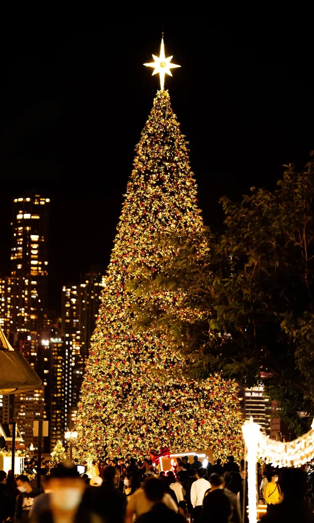 香港|12月,期待日落晚風中的海邊聖誕樹 香港|12月,期待日落晚風中的海邊聖誕樹