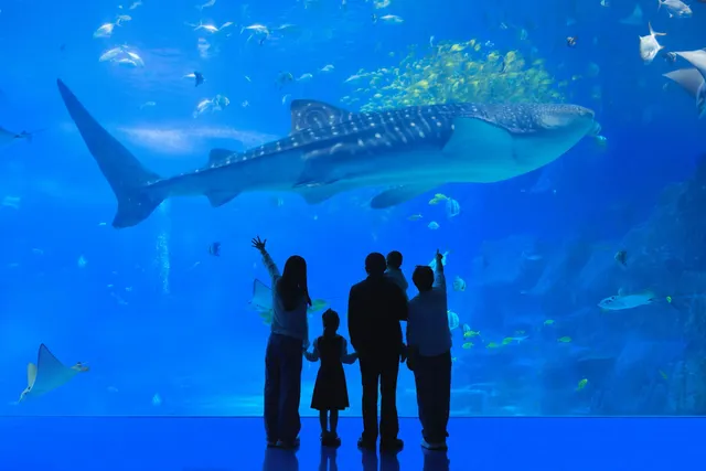 11月來長隆也太爽了 11月來長隆也太爽了