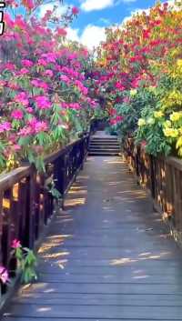 震撼人心的峽谷探險!義興馬嶺河峽谷2日深度遊指南