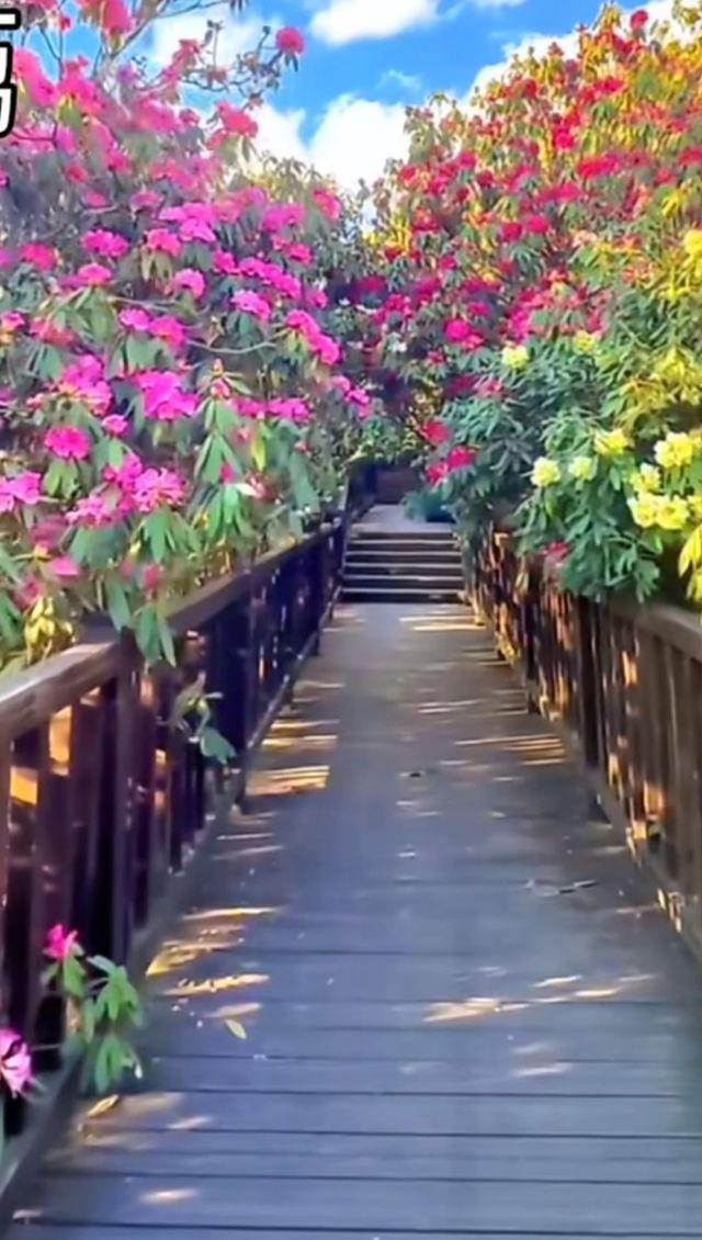 震撼人心的峽谷探險!義興馬嶺河峽谷2日深度遊指南 震撼人心的峽谷探險!義興馬嶺河峽谷2日深度遊指南