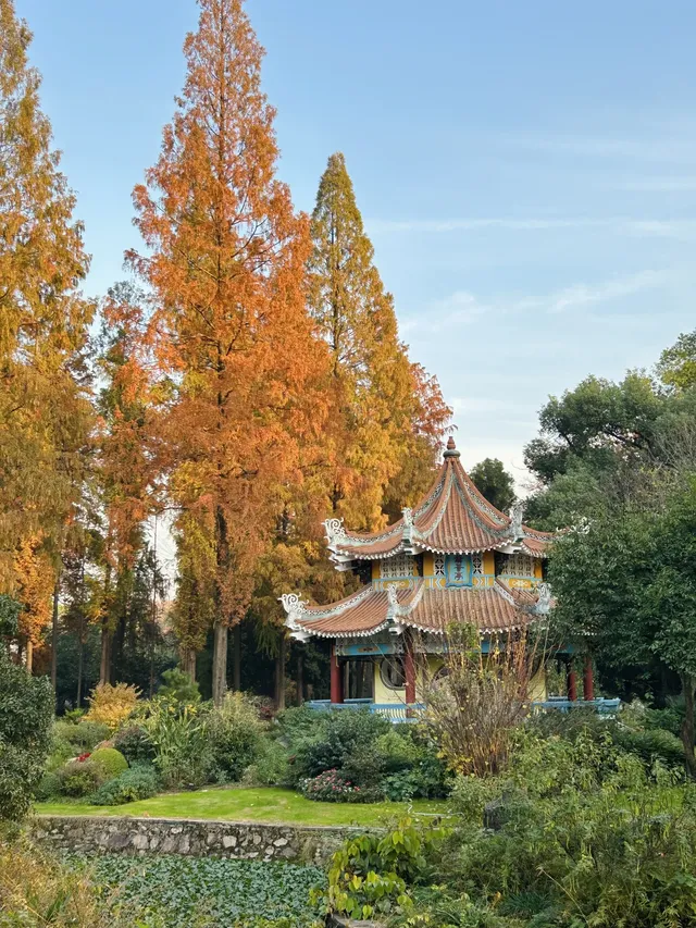 湖北新生旅遊年卡武漢植物園全攻略