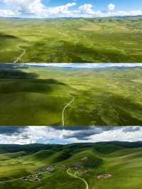 油畫般的「宗塔七色草原」是戶外人遛狗樂園