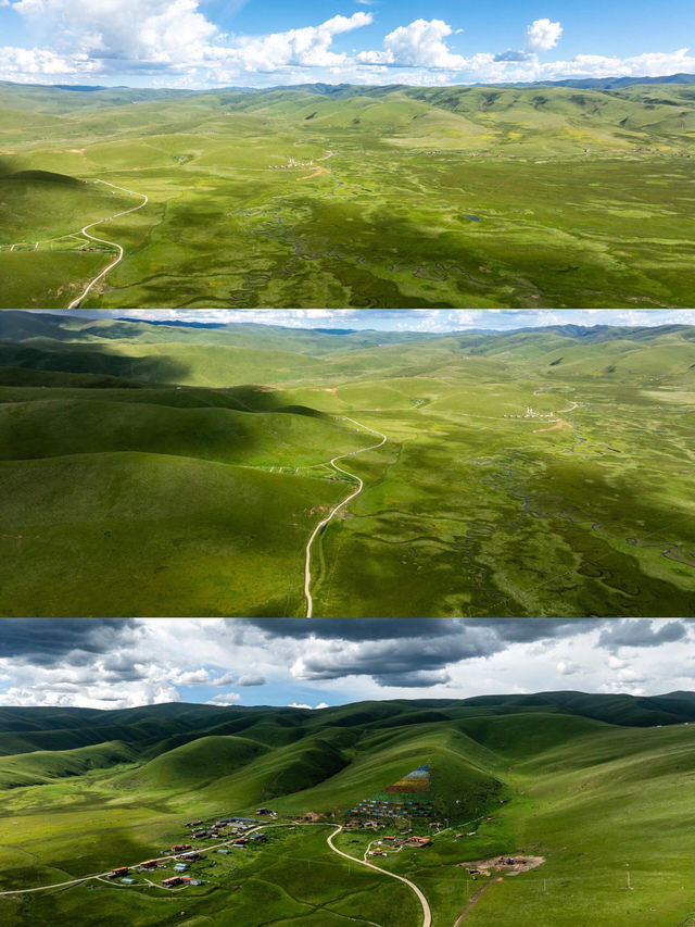 油畫般的「宗塔七色草原」是戶外人遛狗樂園 油畫般的「宗塔七色草原」是戶外人遛狗樂園