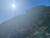 登頂黃山·邂逅流動的山水畫卷