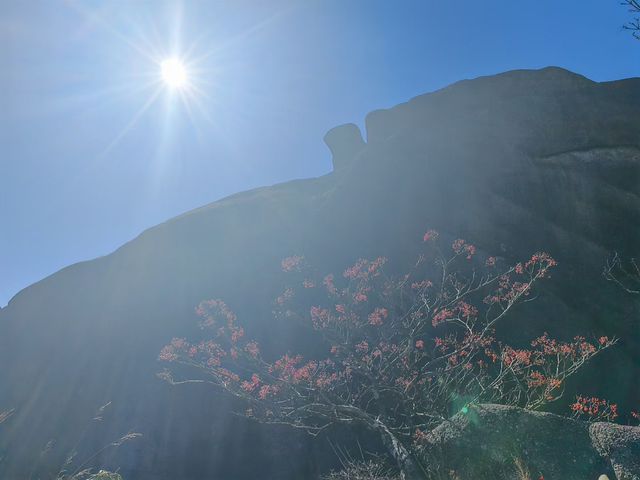 登頂黃山·邂逅流動的山水畫卷 登頂黃山·邂逅流動的山水畫卷