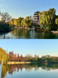 山東濟南-曲阜-泰山4日遊#這座城總得來一趟