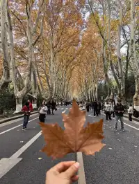 南京鐘山風景區漫遊