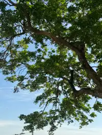 晴天的長洲島真的好美!!|富士拍照