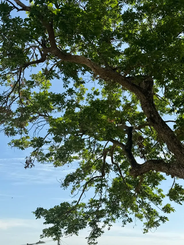 晴天的長洲島真的好美!!|富士拍照 晴天的長洲島真的好美!!|富士拍照