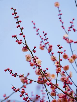 Beijing | Sanlihe Park: A Little Jiangnan Hidden in the Hutongs