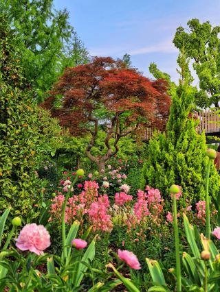 Highlights of Shanghai Botanical Garden in late spring and early summer besides the flower exhibition.