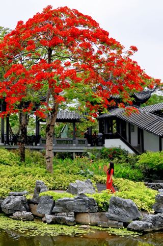 0元拍國風！廣州新文化館五月紅妝好驚艷