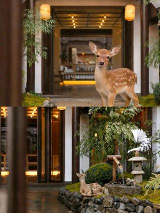 麗江で、私はこの民宿の大ファンになっちゃいました！「今吾同（ジンウートン）」という、もうベッドから出たくなくなる家にステイ。