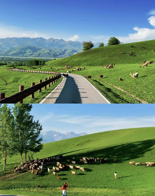 If you can only choose one place, it must be Xinjiang in June