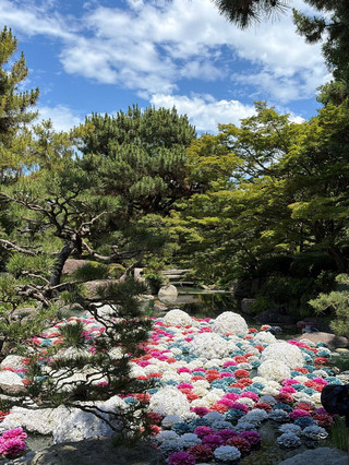 Japan 6-day tour for just over 3k per person
