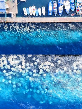 Maldives‖Male off-the-beaten-path one-day tour tips to avoid pitfalls