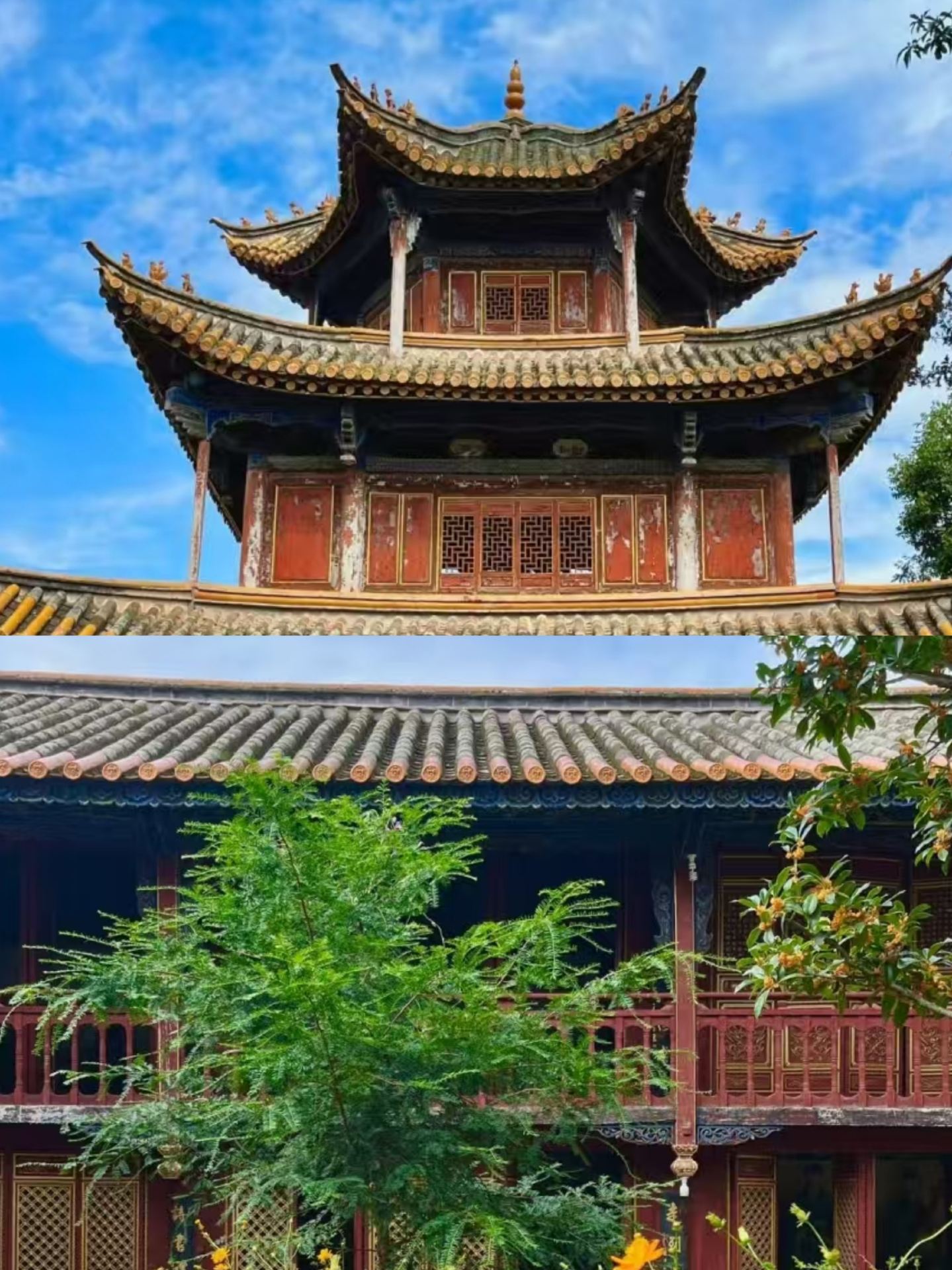 Anning đã trở về sau cơn đau đớn; các chị em nào sắp đi nên suy nghĩ kỹ.