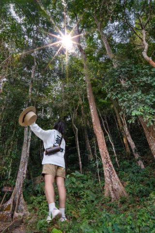Ximeng Summer Camp | Throw Your Kids into Yunnan's Pristine Rainforest