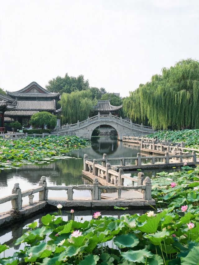 在保定住進古城庭院,一秒穿越清代衙門