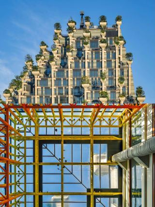 Photo spots in the "Floating Forest" of the Magic City