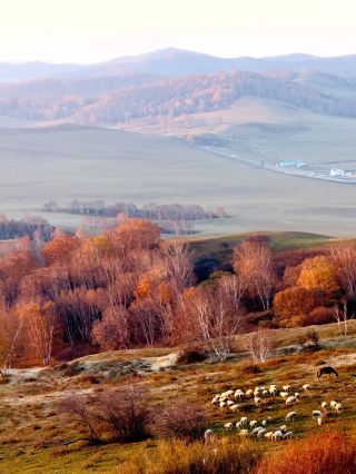 Mid-Autumn | National Day Holiday Autumn Getaway Routes from Beijing-Tianjin-Hebei