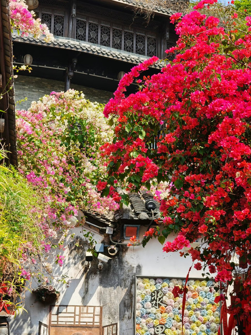 Shenzhen Gankeng Ancient Town | Explore a 350-year-old Hakka