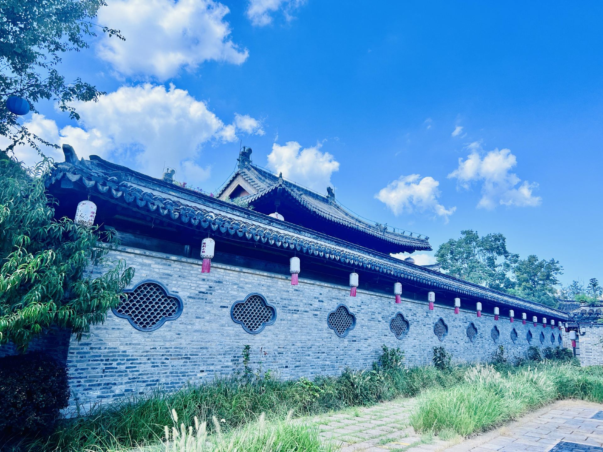 在鹽城的奇妙體驗，簡直是夢中情地！