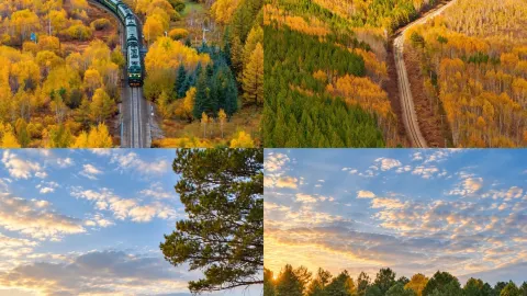Spent three slow, leisurely days in Mohe, healed by the morning mist and birch forests. — traveler post in Mohe