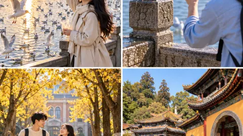 Kunming in late October is amazing! 3-day, 2-night trip for 900 per person, featuring both gulls and ginkgo trees — traveler post in Shilin